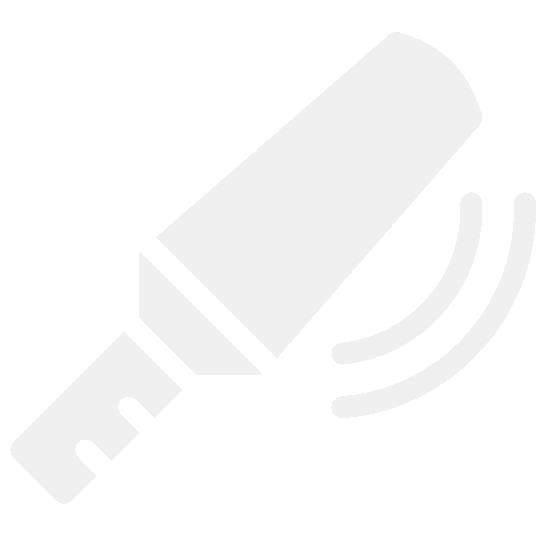 Metal Detector